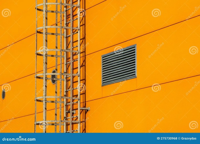 Roof access commercial iron wrought ladder cage custom safety industrial metal painted satin