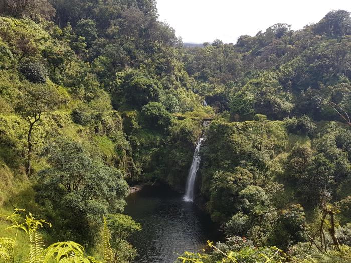 Hidden waterfall oc maui hawaii small earthporn