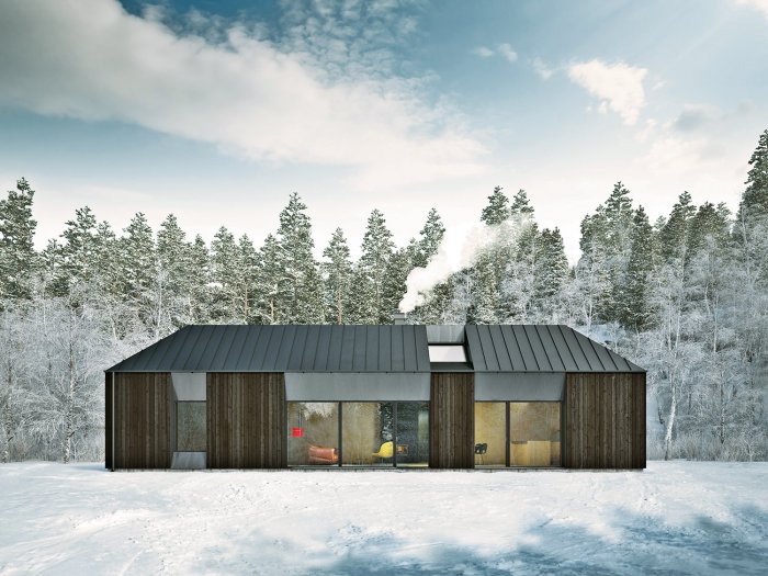 Scandinavian house modern design designs architecture examples contemporist swedish small plans houses cottage exterior style farmhouse traditional contemporary barn black